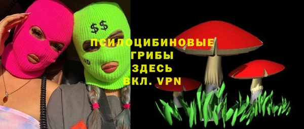 меф Бородино