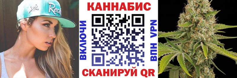 Купить закладки  Нижнеудинск  Конопля гибрид 